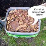 Bokashi i Bykompostspanden