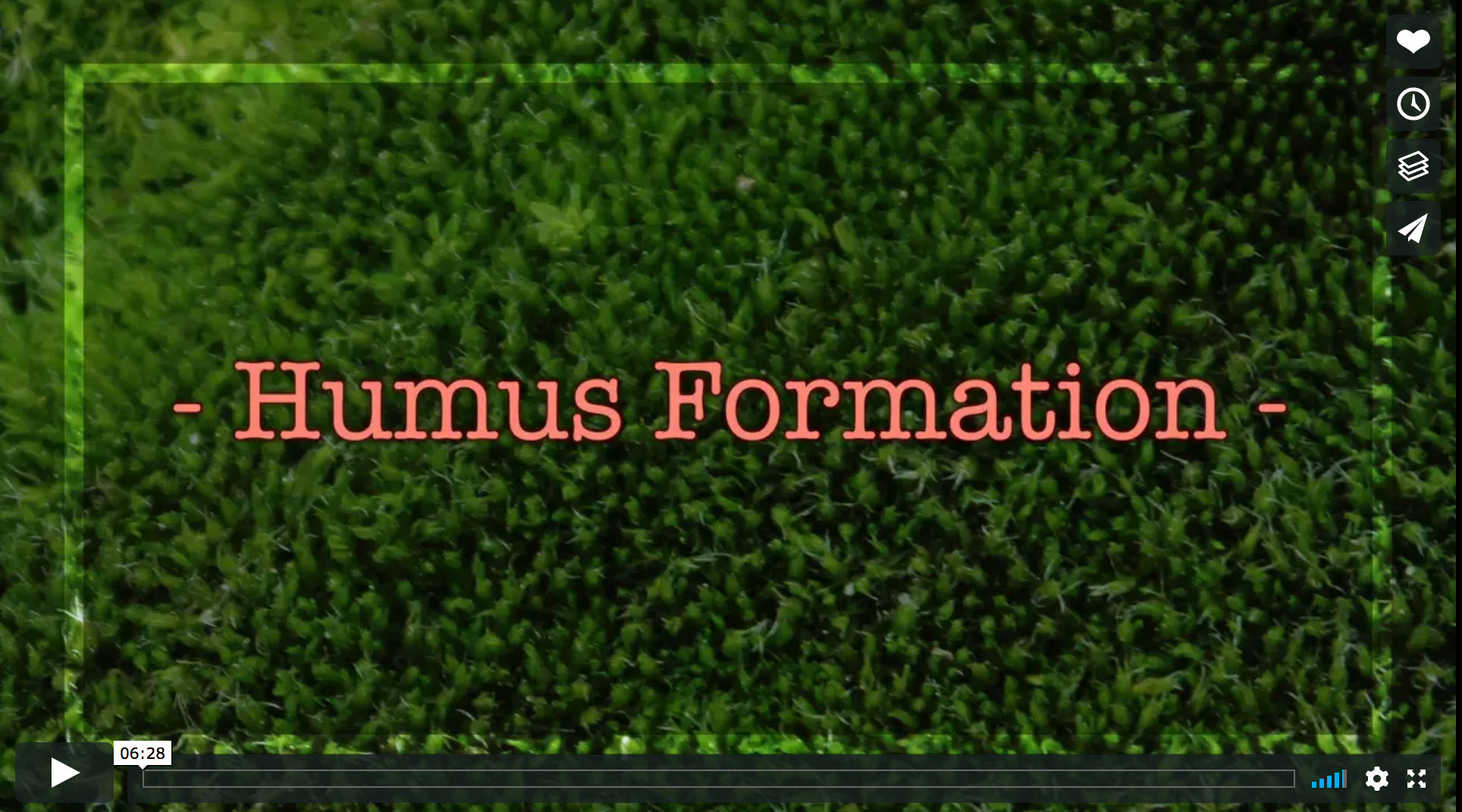 Humus Formation